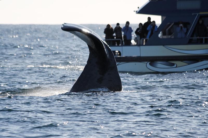 2007 04 05 Kaikoura 081_DXO.jpg